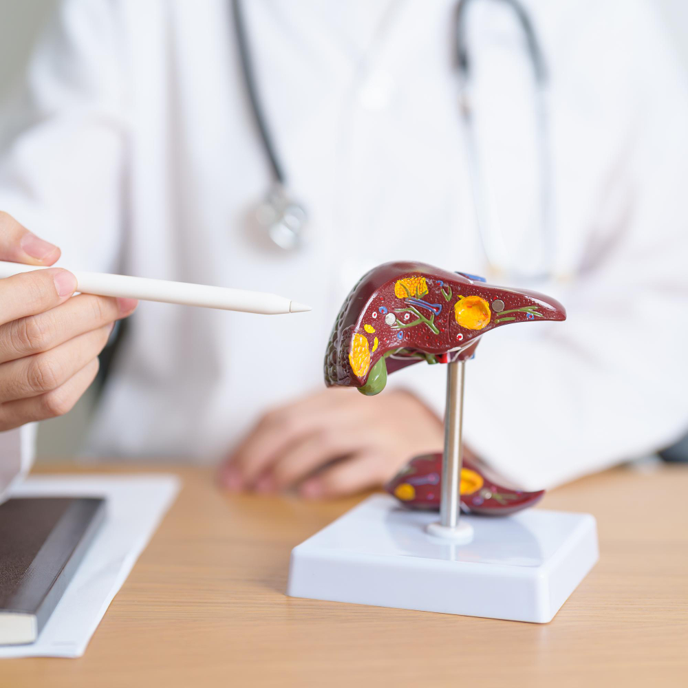 Liver